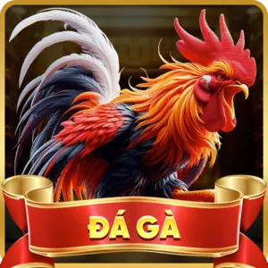 Mã hóa dữ liệu 90ok